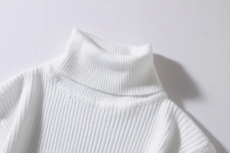 Ribbed Knit Turtleneck Sweater