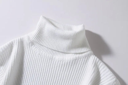 Ribbed Knit Turtleneck Sweater